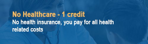 Healthcare--1 credit