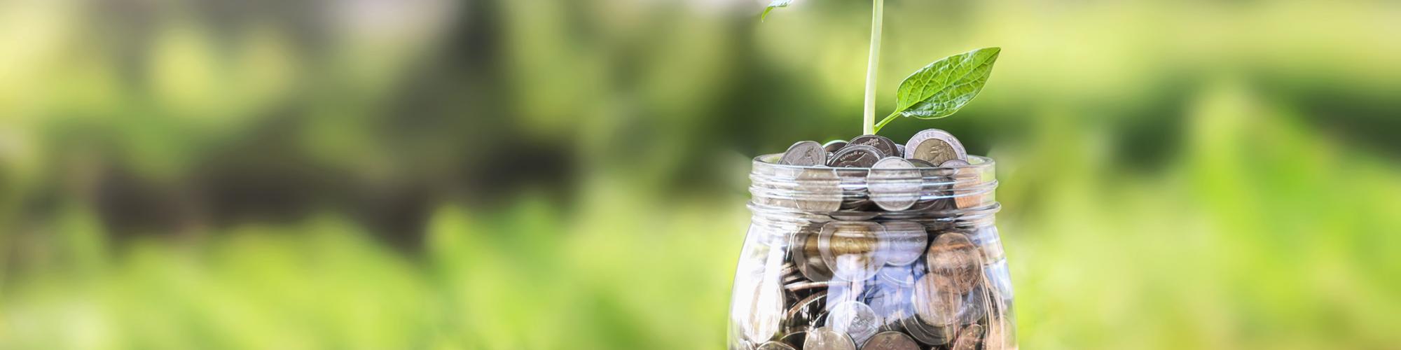 Growing Money Image